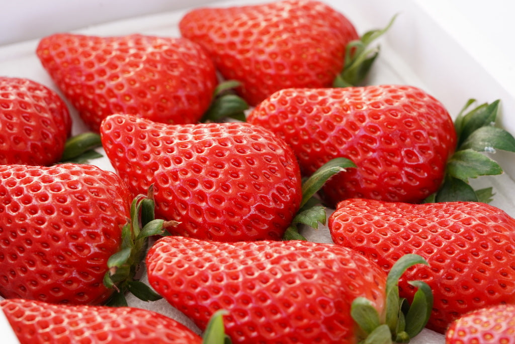 いちご館くぼた l Berry Happy Day! いちご狩りをもっと楽しく、幸せな